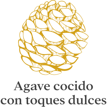 Agave